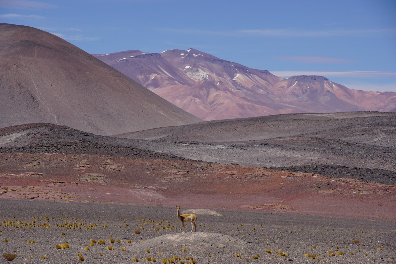 Désert d'Atacama Chili